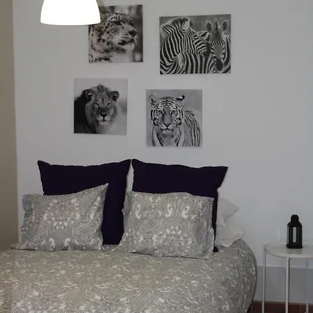 Loft Pinope 公寓 *