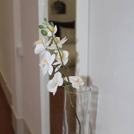 Loft Pinope 公寓 拉桑塔