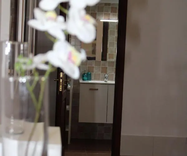 Loft Pinope Lägenhet