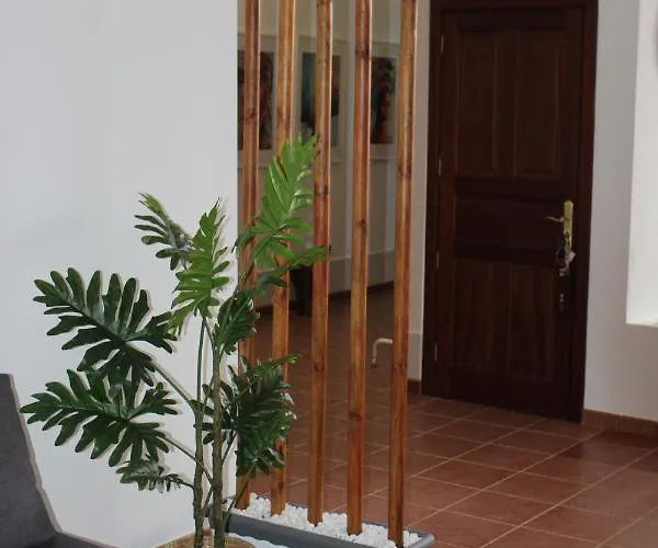 Loft Pinope Lägenhet *