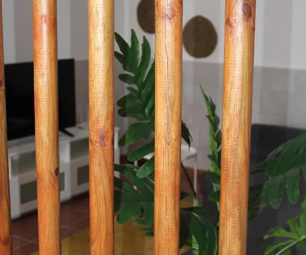 Lägenhet Loft Pinope *