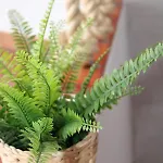 Loft Pinope
