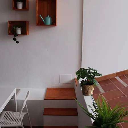Loft Pinope La Santa