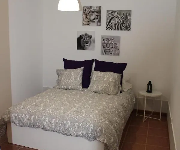 Loft Pinope *